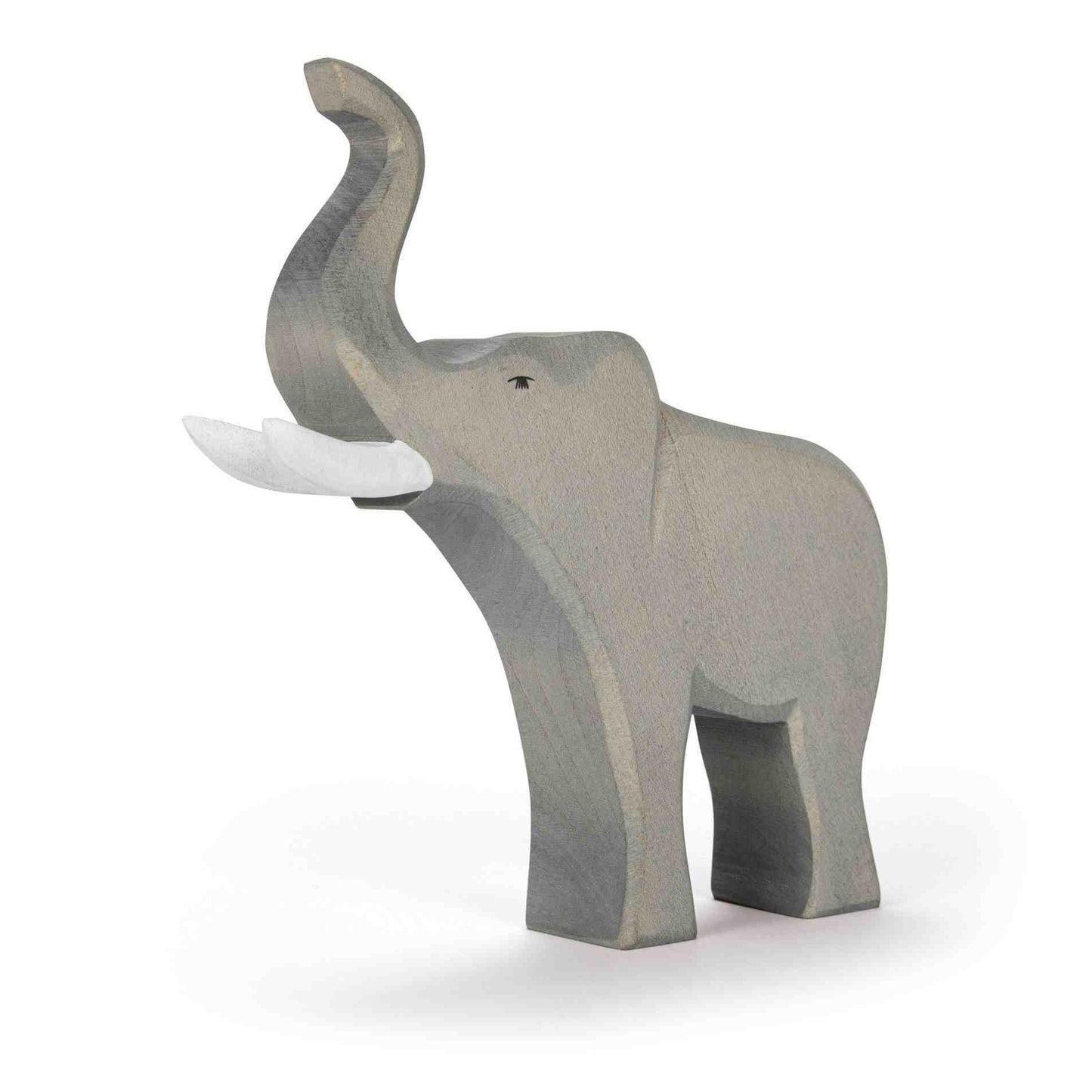 Elephant male trumpeting