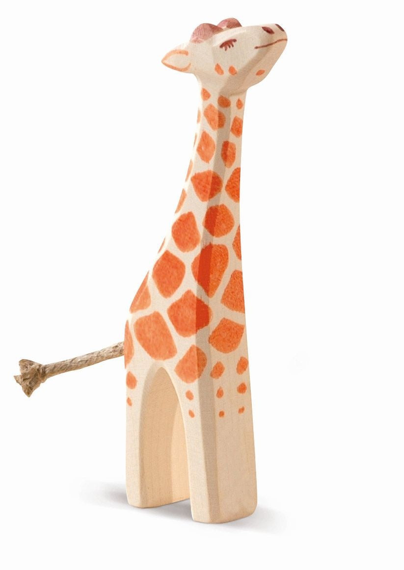 Giraffe small head high