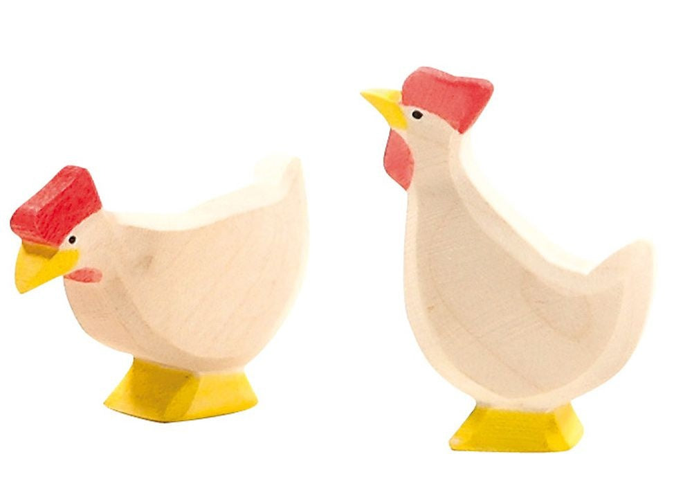 Hen white standing