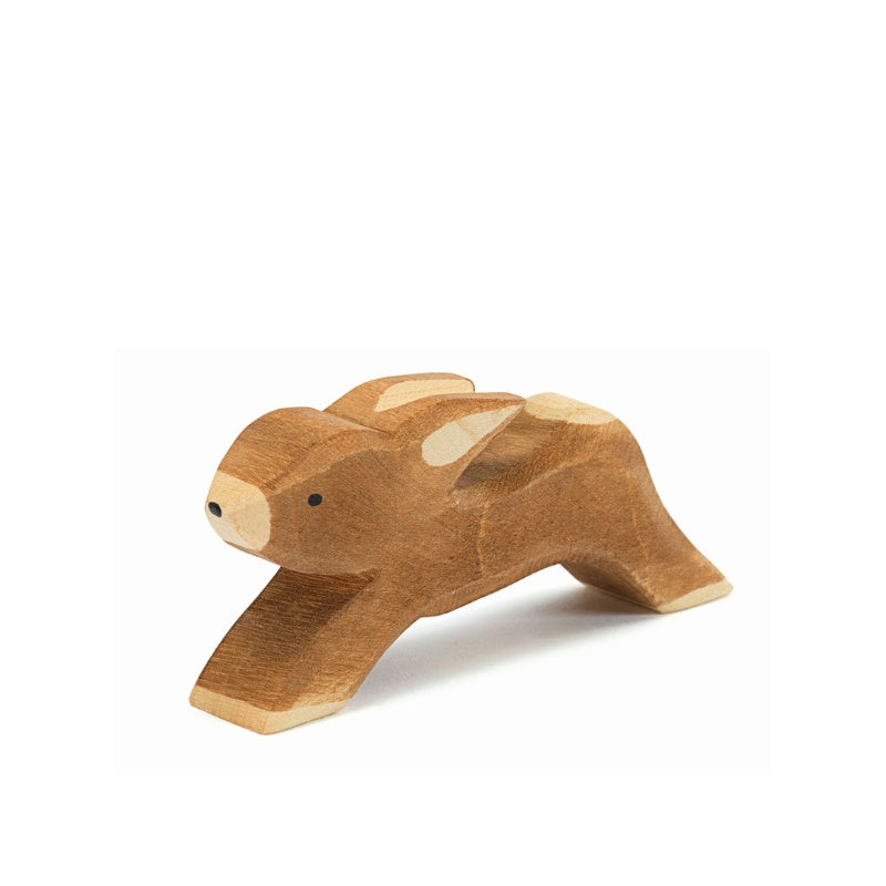 Rabbit running