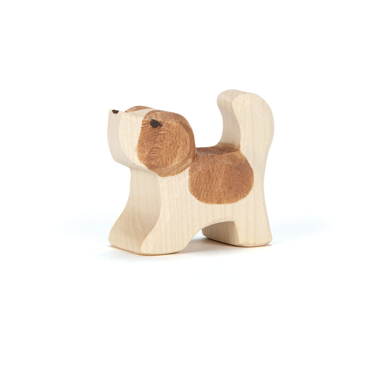 St. Bernhard Dog small head high