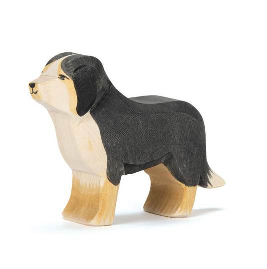 Bernese Mountain Dog