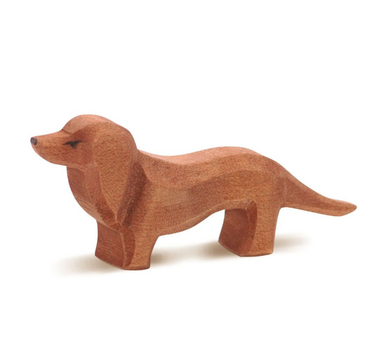 Dachshund
