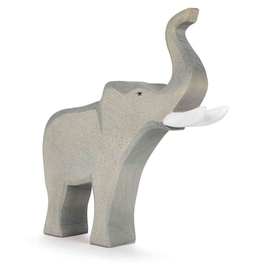 Elephant male trumpeting
