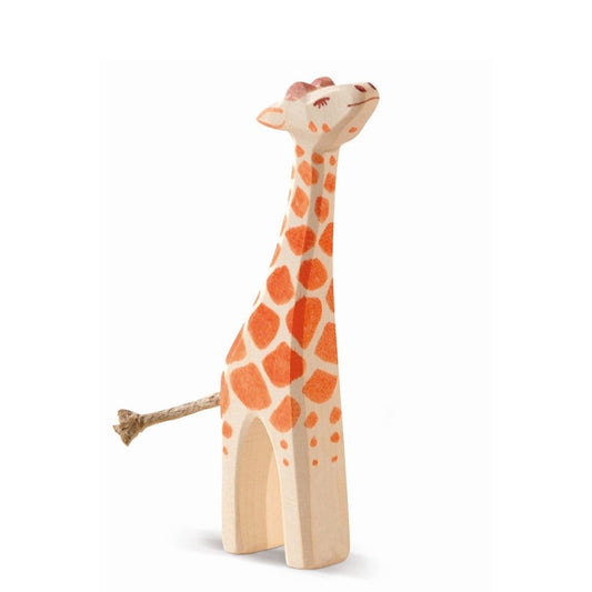 Giraffe small head high
