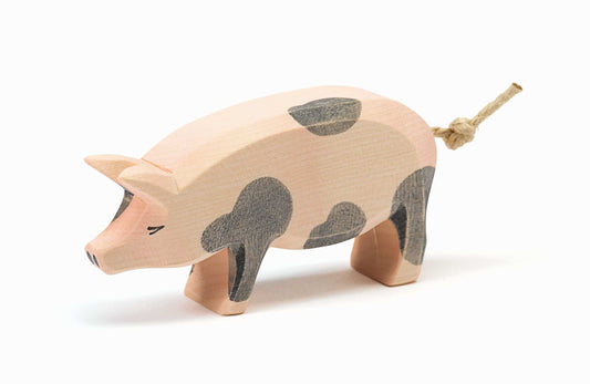 Pig spotted head high